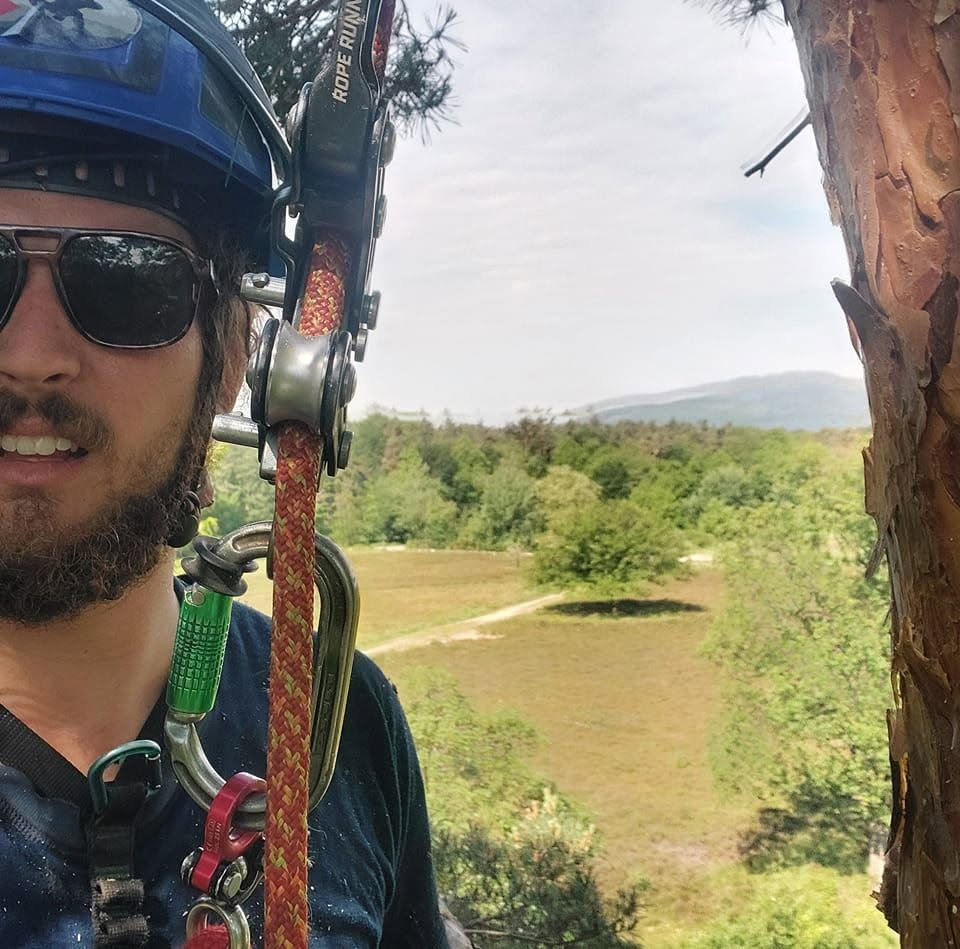 Arborist wearing a climbing helmet and harness beside a tree