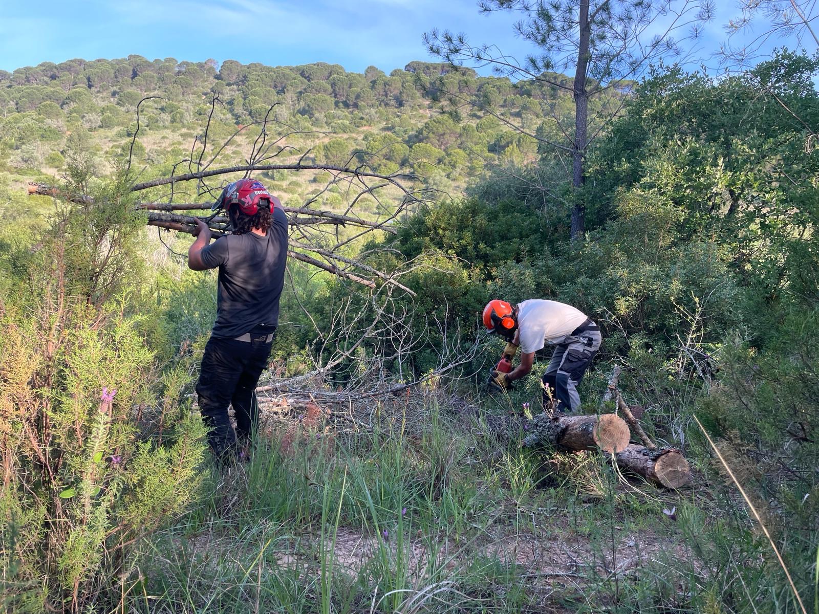 El equipo trabajando en tierra